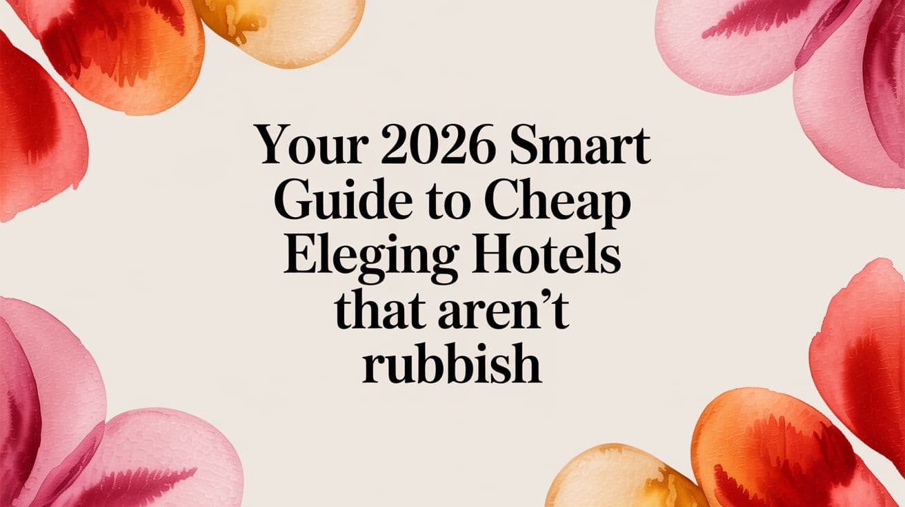 Your 2026 Smart Guide to Cheap Ealing Hotels That Aren't Rubbish